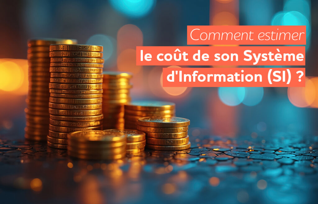 Comment estimer le coût de son Système d'Information (SI) ?